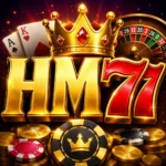 HM77 APK