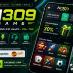 HI309 GAME