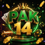 pak 14 game
