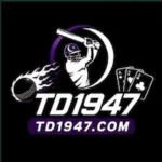TD1947 Game